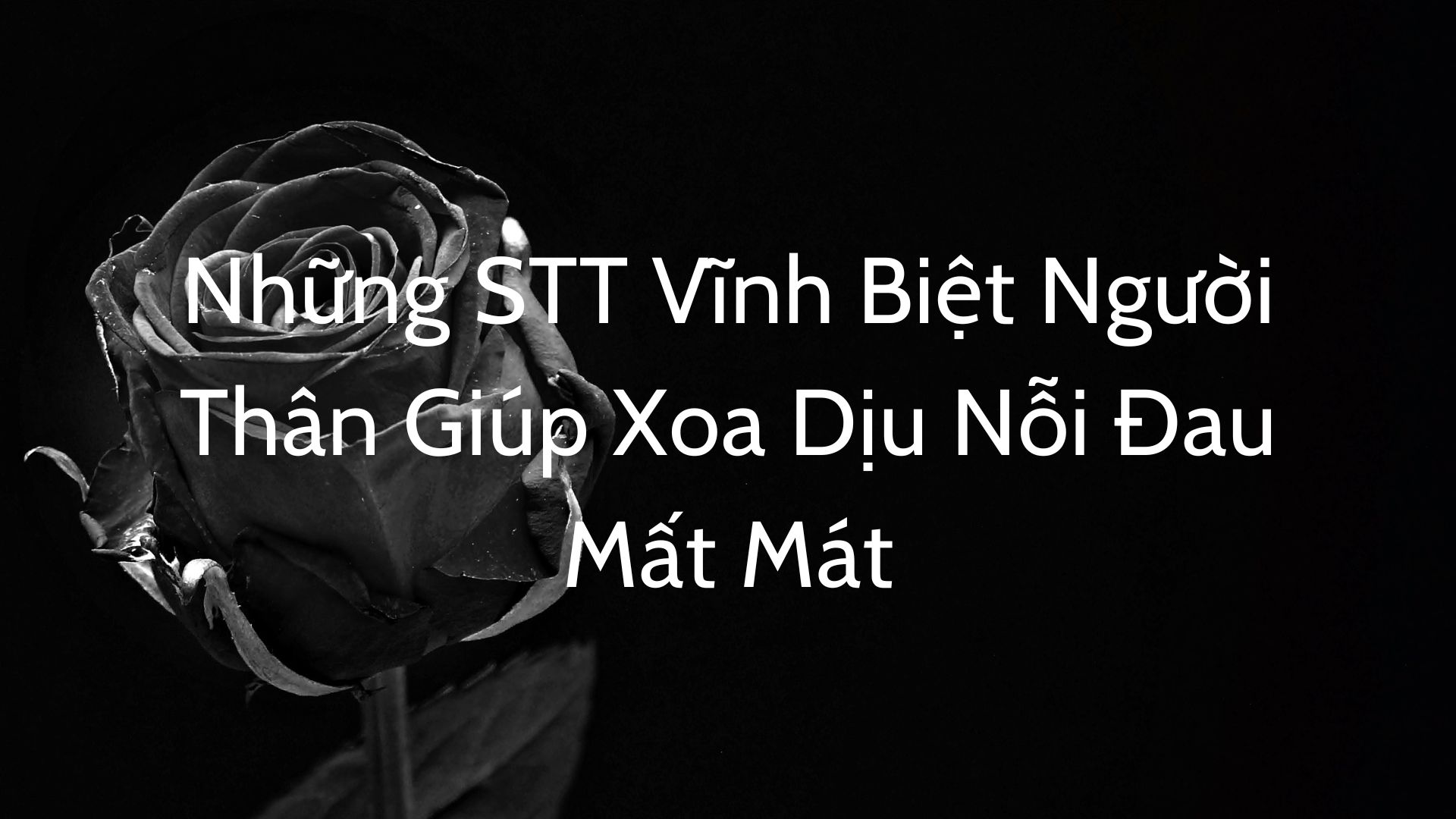 Những STT Vĩnh Biệt Người Thân Giúp Xoa Dịu Nỗi Đau Mất Mát