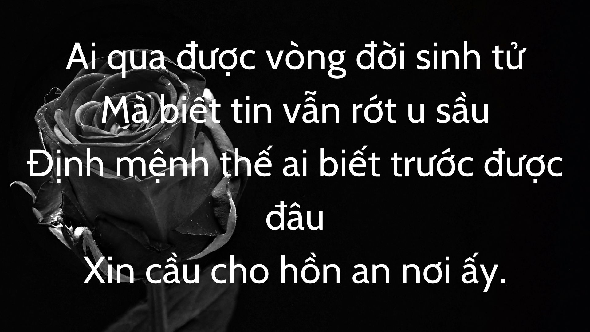Những STT Vĩnh Biệt Người Thân Giúp Xoa Dịu Nỗi Đau Mất Mát